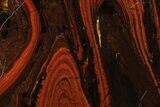 Polished Tiger Iron Stromatolite Slab - Billion Years #161872-1